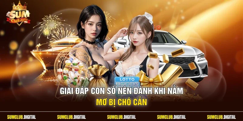 Giải đáp con số nên đánh khi nằm mơ bị chó cắn